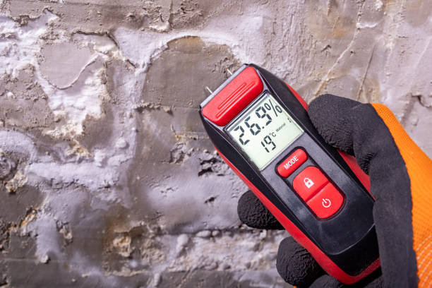 Best Residential Mold Removal  in Melbourne, AR