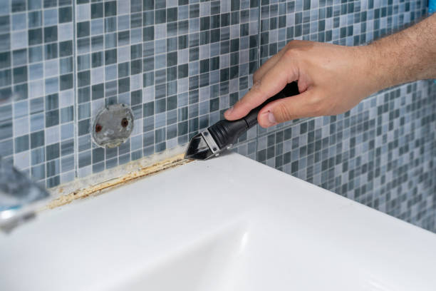 Best Attic Mold Removal  in Melbourne, AR