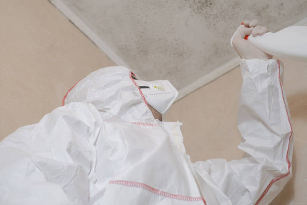 Best Local Mold Removal Service  in Melbourne, AR